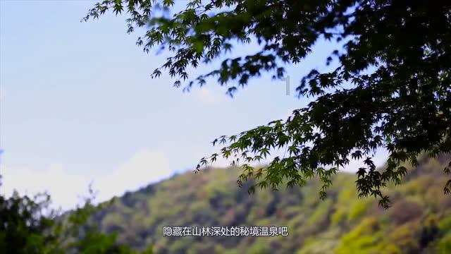 堡垒之夜