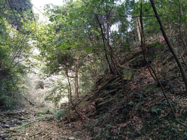 透视行业动态,加入人为什么活着知识星球,开启知识共享之旅