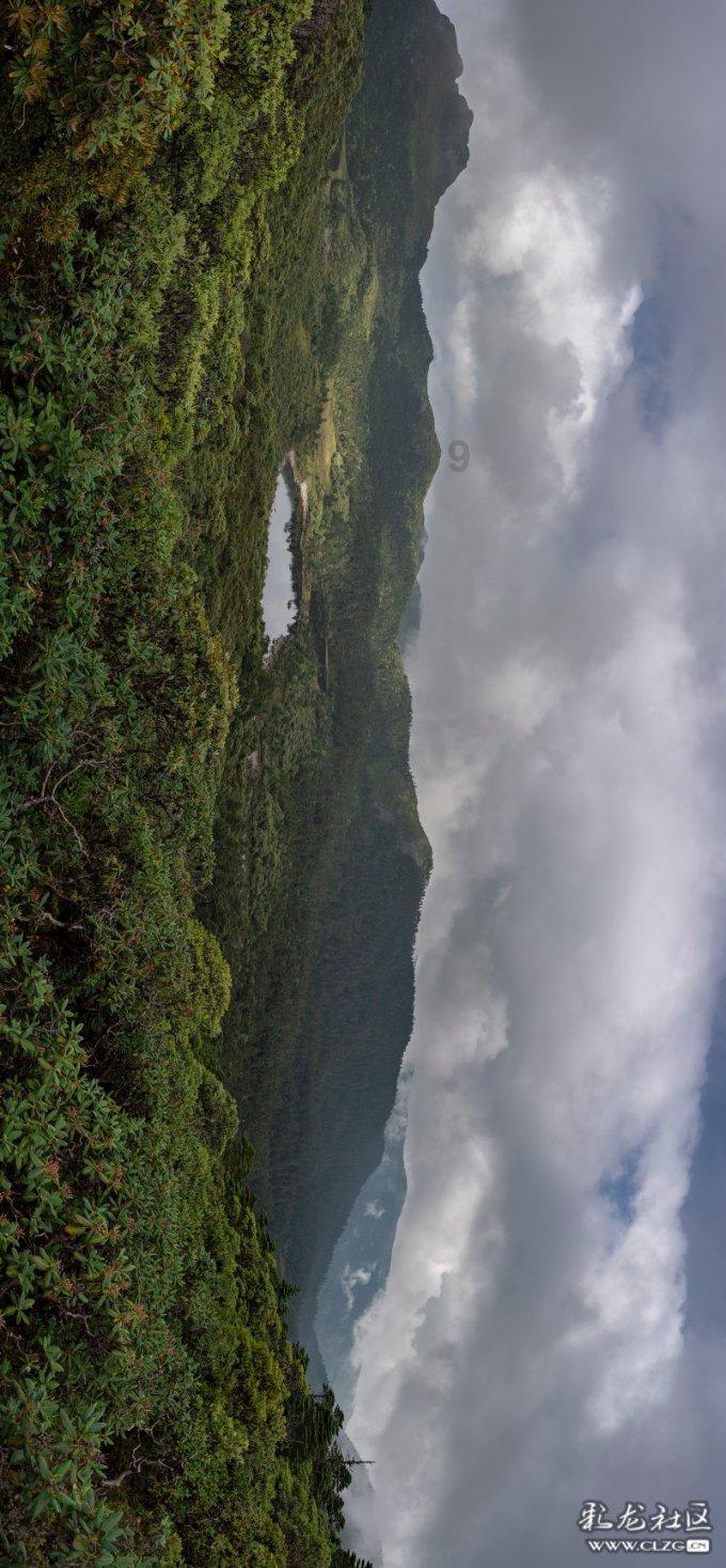 沪江开心词场