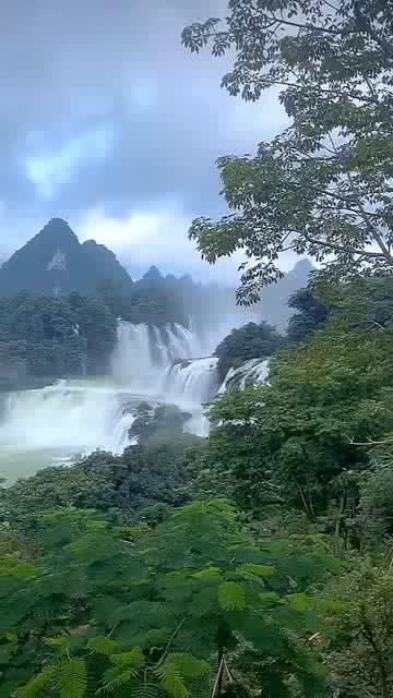 逃离宽敞的健身房